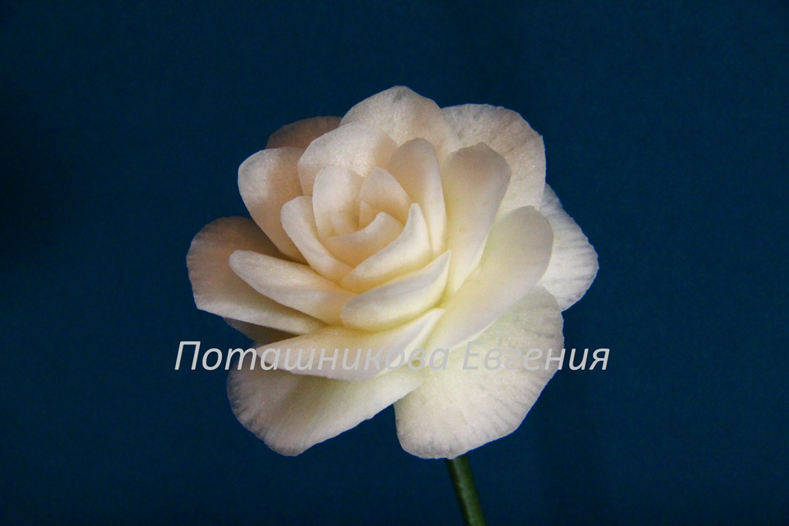 111 Роза из дайкона