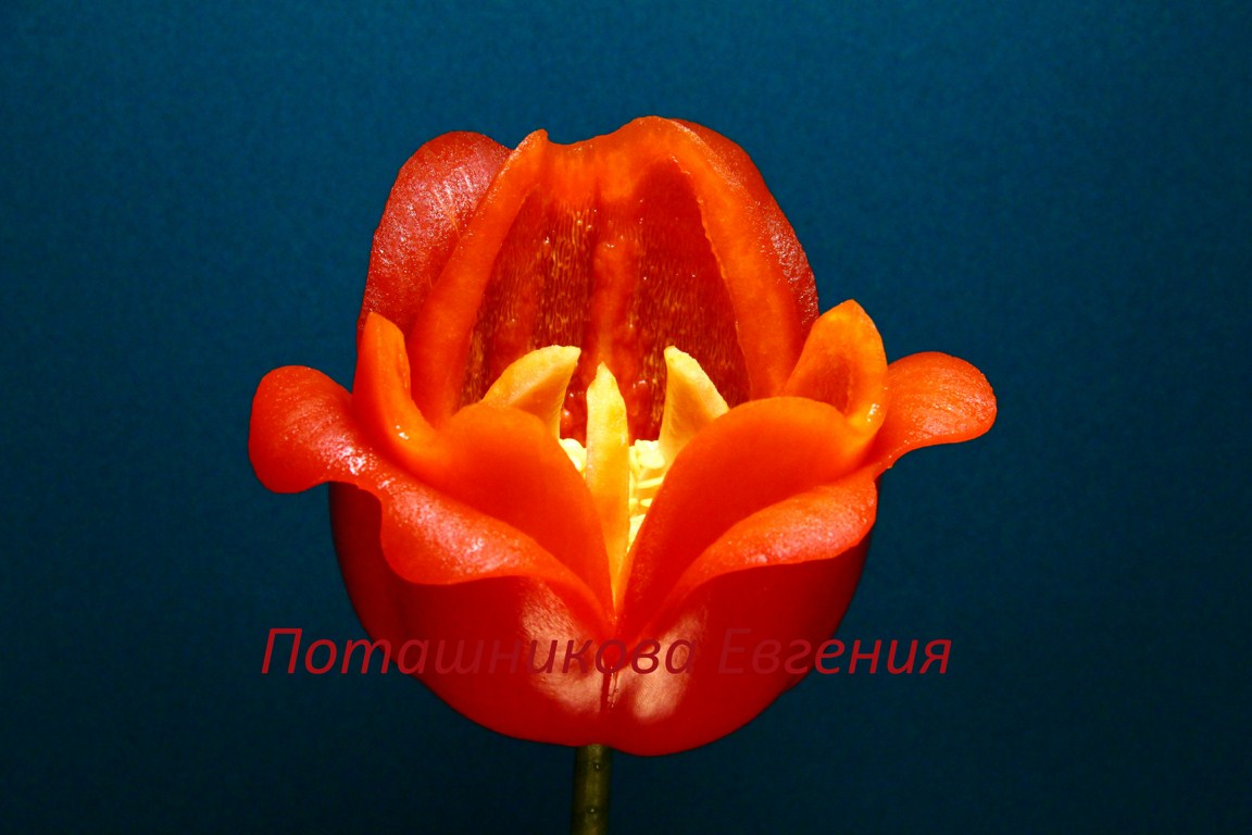 134 Цветок из сладкого перца