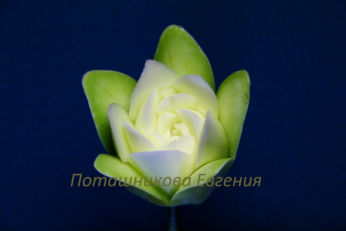 143 Роза из кабачка