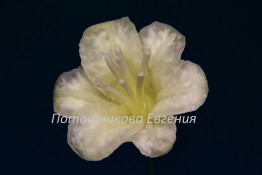 181_022b