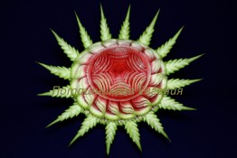520