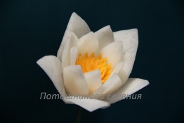 107 Лилия из дайкона и моркови