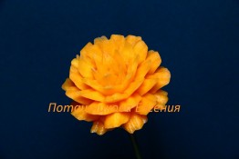 114 Маргаритка из моркови