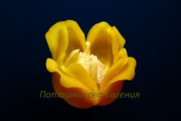 133 Цветок из сладкого перца