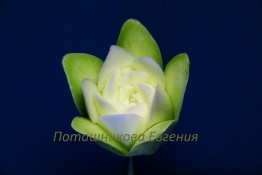 143 Роза из кабачка