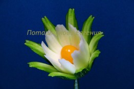 150 Цветок из цуккини и физалиса